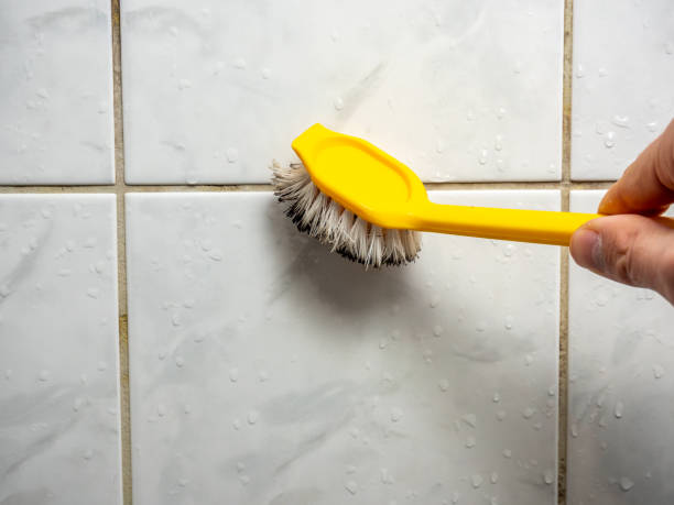 Best Residential Mold Removal  in Burney, CA
