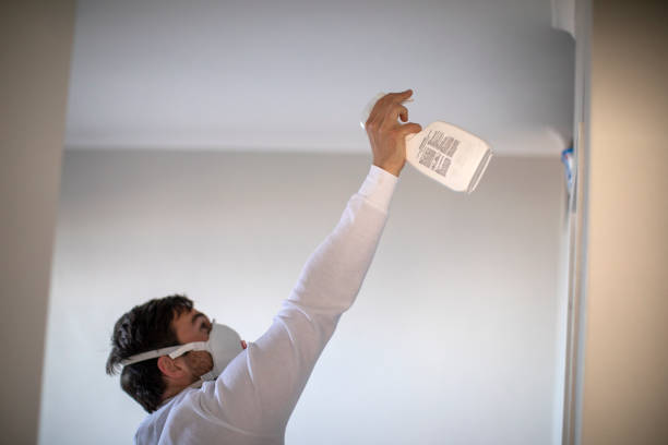 Best Certified Mold Removal  in Burney, CA