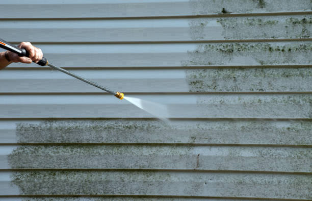 Best Mold Remediation  in Burney, CA
