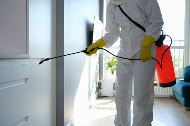 Best Mold Testing  in Burney, CA