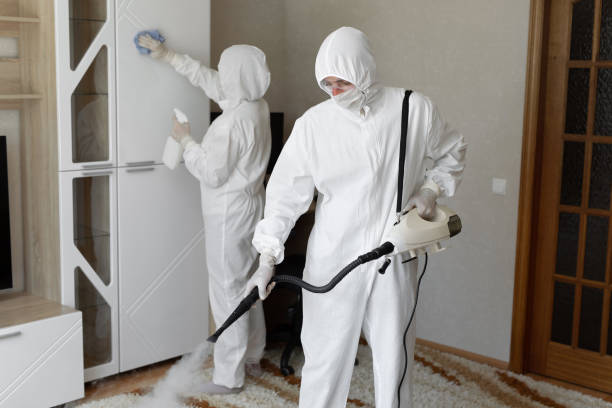 Best Professional Mold Removal  in Burney, CA